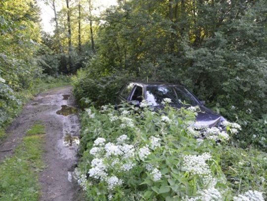 Auto schował w krzakach