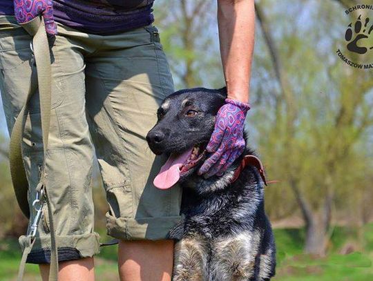 Beryl,Buba i Gabor czekają na Ciebie