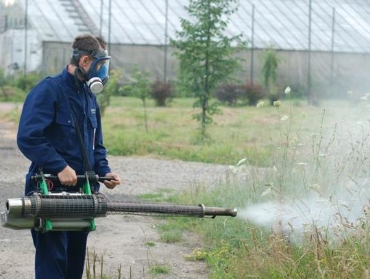 Bez komarów tylko na przystani