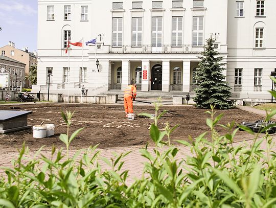 Biało-czerwone kwiaty upiększą centrum miasta Biało-czerwone kwiaty upiększą centrum miasta