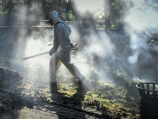 Biolog: opryski przeciwko komarom i kleszczom to nie jest rozwiązanie