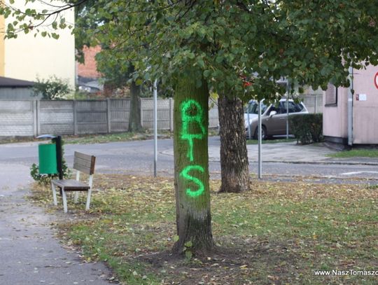 Bo tak podpowiada psi instynkt