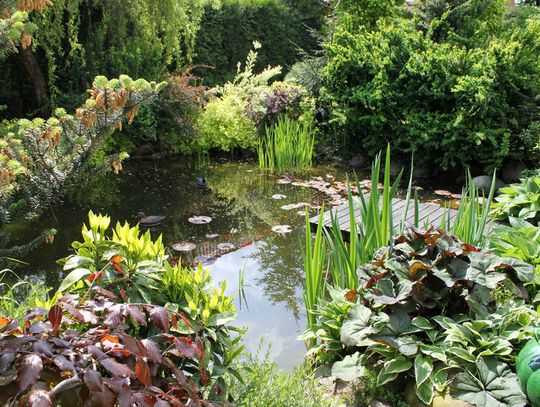 Codzienny odpoczynek nad wodą i to bez komarów? Wystarczy, że zdecydujesz się na TO rozwiązanie