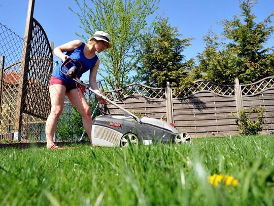 Częste koszenie trawników to mniej gatunków roślin, owadów i ptaków