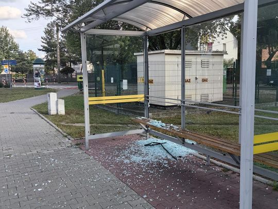 Dość wandalizmu! Rozbita szyba na przystanku przy Grota-Roweckiego to nie „psikus”