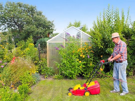 Dotacje dla ogródków działkowych