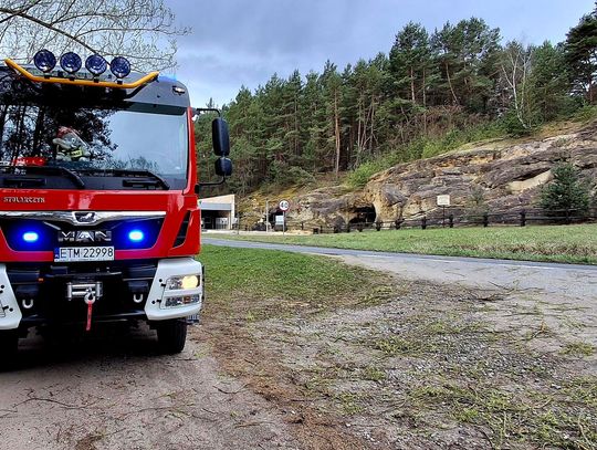 Drzewo runęło przy ścieżce do grot nagórzyckich. Interweniowała OSP Drzewo runęło przy ścieżce do grot nagórzyckich. Interweniowała OSP