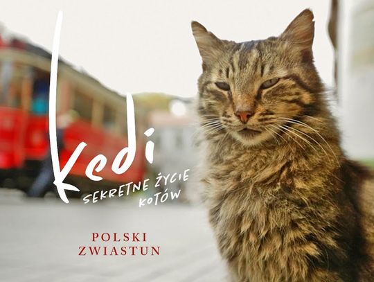 Dwa seanse dla kinowych koneserów