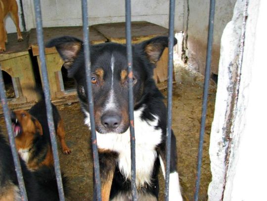 Dwie oferty na przetargu