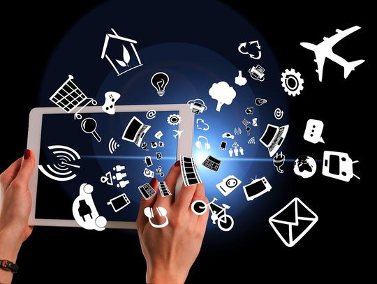 Dzień Bota co roku obchodzimy 10 grudnia. W 2025 roku przypada w środę