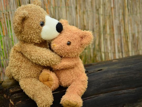 Dzień Pluszowego Misia – święto czułości, które nie kończy się w dzieciństwie