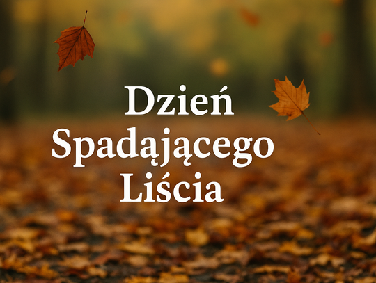 Dzień Spadającego Liścia — święto grawitacji, gracji i grabienia