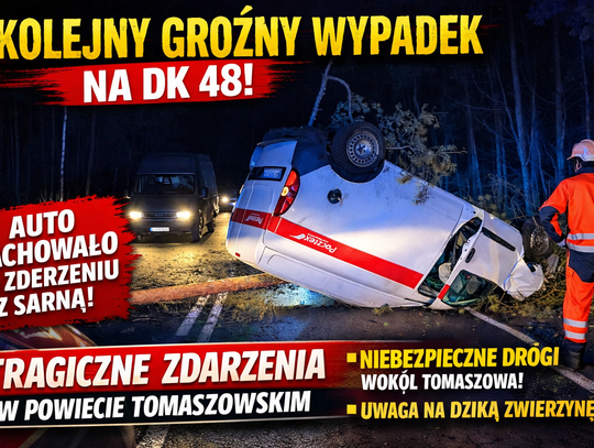 Dzika zwierzyna na drogach powiatu tomaszowskiego. Kolejny groźny wypadek na „48” Dzika zwierzyna na drogach powiatu tomaszowskiego. Kolejny groźny wypadek na „48”