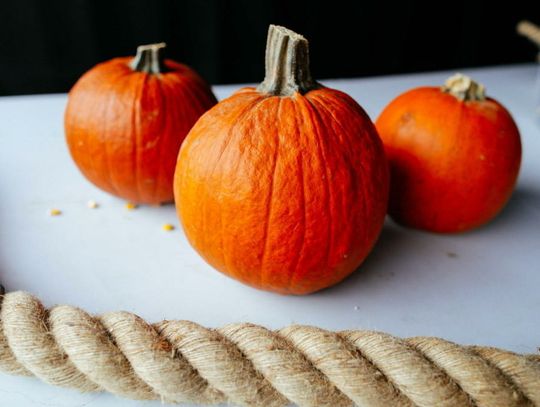 Ekolodzy alarmują, że Halloween to dzień marnowania dyń, które mogłyby być zjedzone