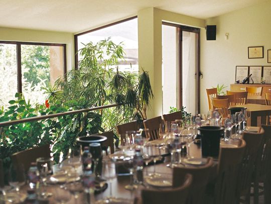 Ekologiczna restauracja. Jak sprawić, aby biznes był bardziej zielony?