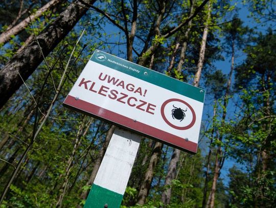 Ekspert: kleszcze przenoszą groźne choroby; warto stosować profilaktykę 