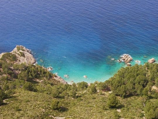 El Hierro – zielone płuca Wysp Kanaryjskich