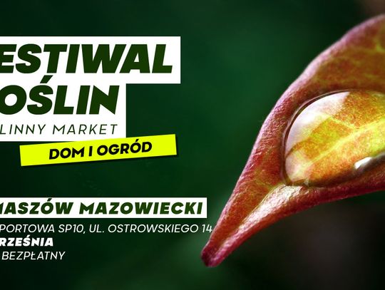 Festiwal Roślin w Tomaszowie Mazowieckim – wracamy po wakacyjnej przerwie! 🌿