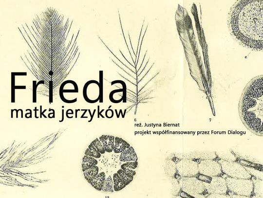 Frieda, matka jerzyków - nabór do spektaklu Frieda, matka jerzyków - nabór do spektaklu