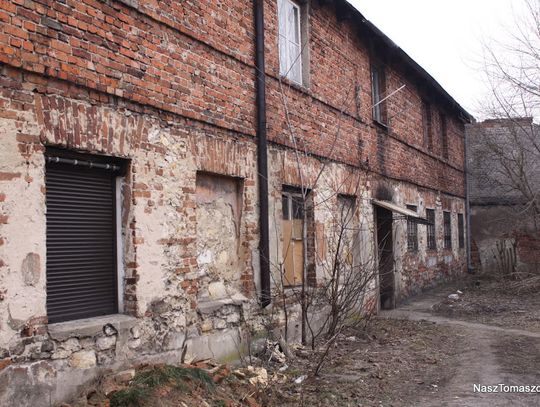 Galerianki i Galernicy