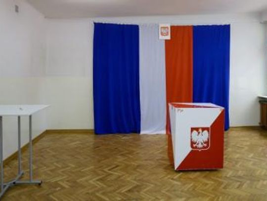 Głosujemy sercem czy głową?