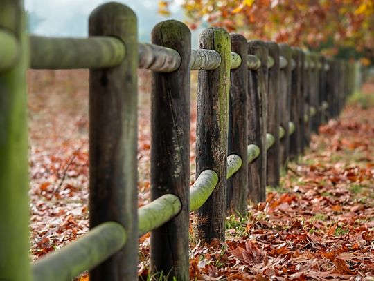 Granty sołeckie od marszałka przyznane