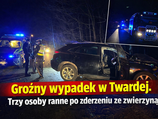 Groźny wypadek w Twardej. Trzy osoby ranne po zderzeniu ze zwierzyną