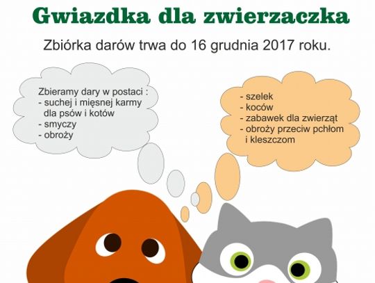 Gwiazdka dla zwierzaczka