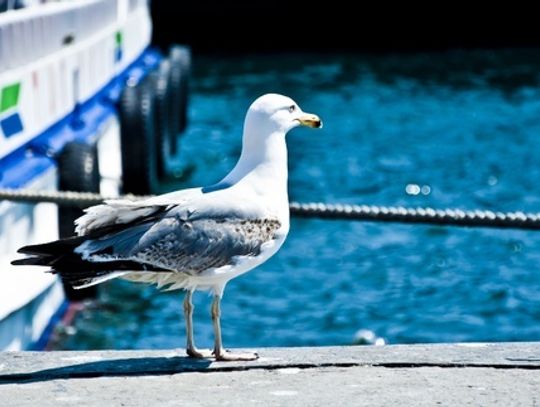 Hit sezonu - wakacje nad Bałtykiem! Hit sezonu - wakacje nad Bałtykiem!