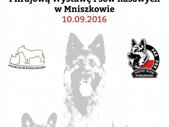 I Krajowa Wystawa Psów Rasowych w Mniszkowie