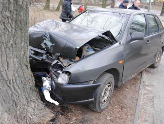 Ibiza wbiła się w drzewo