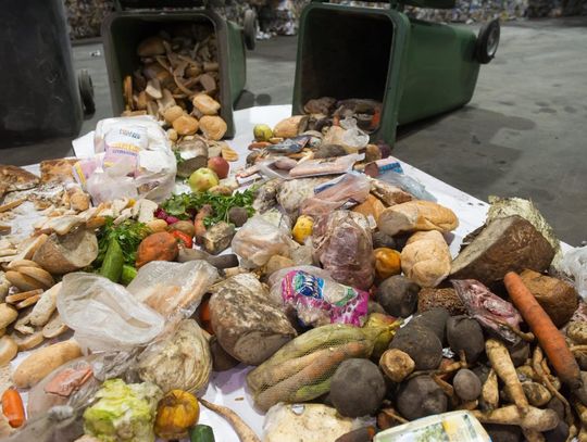 Instytut Ochrony Środowiska: każdy Polak marnuje średnio 123 kg żywności rocznie