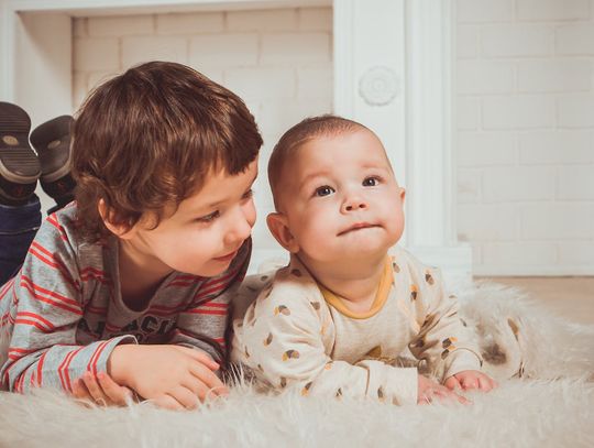 Jak komponować posiłki dla dziecka? Poradnik dla rodziców