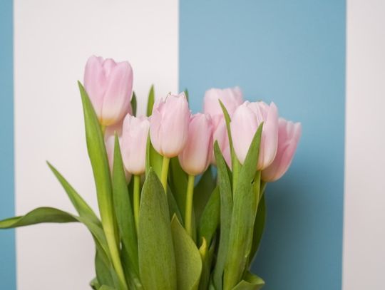 Jak stworzyć piękny balkon?