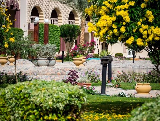 Jak to jest z tym Egiptem