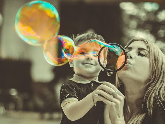 Jak w kabarecie. Wódz a za wodzem wierni. Karta Praw Rodzin jest zła ale nie wiedzą dlaczego 