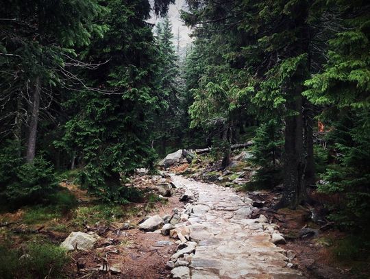 Jak wybrać hotel na wakacje w Karpaczu?