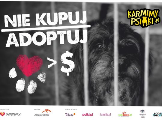 Kampania społeczna „Nie kupuj – adoptuj”