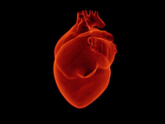 Kardiolodzy: Choroby układu sercowo-naczyniowego są głównym zabójcą Polaków