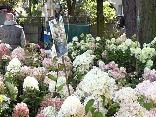 Kiermasz roślin w Zespole Szkół i Placówek Oświatowych Województwa Łódzkiego w Tomaszowie Mazowieckim