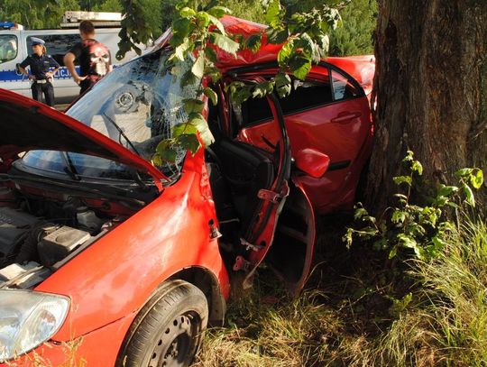 Kolejna śmierć na drodze. Tym razem w okolicach Żelechlinka