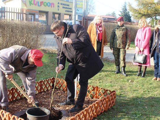 Kolejny Dąb z okazji 100 lecia odzyskania niepodległości posadzony