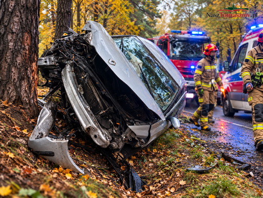 Kolejny wypadek na DK48 w Teofilowie. Samochód uderzył w drzewo. Na tej trasie dochodziło już do tragedii