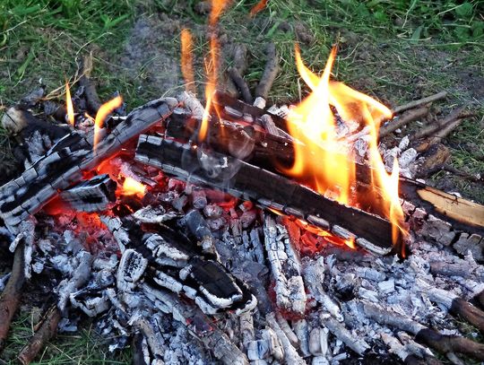 Kolonie dla dzieci – samodzielne wakacje sprzyjające rozwojowi