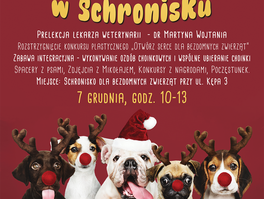 KONKURS PLASTYCZNY "OTWÓRZ SERCE DLA BEZDOMNYCH ZWIERZĄT"