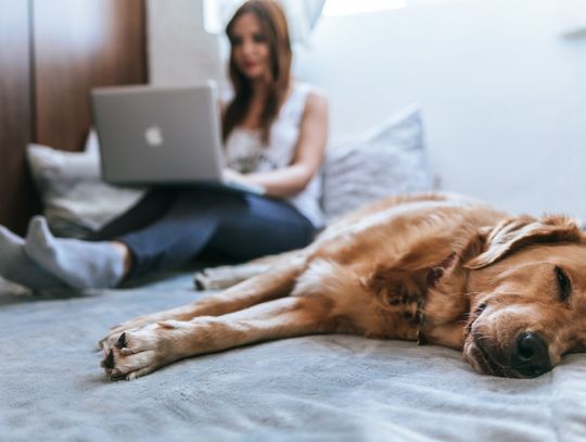 Kto jeszcze nie jest przekonany do płatności internetowych?