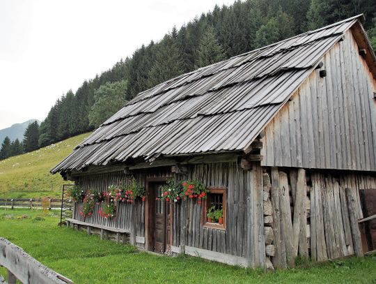 Kupię dom o wartości deklarowanej przez radnego