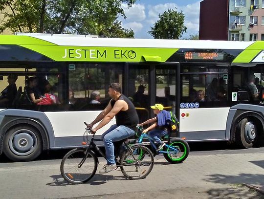 Kursowanie autobusów MZK 30 i 31 maja oraz 1 i 2 czerwca