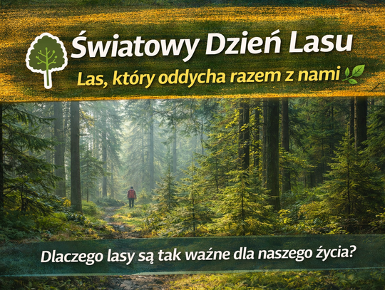 Las, który oddycha razem z nami. Dziś obchodzimy Światowy Dzień Lasu