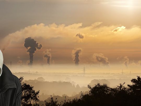 Ludzie petycje piszą... szkoda czasu i energii